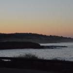 Cambria_0570 (November 02, 2013)